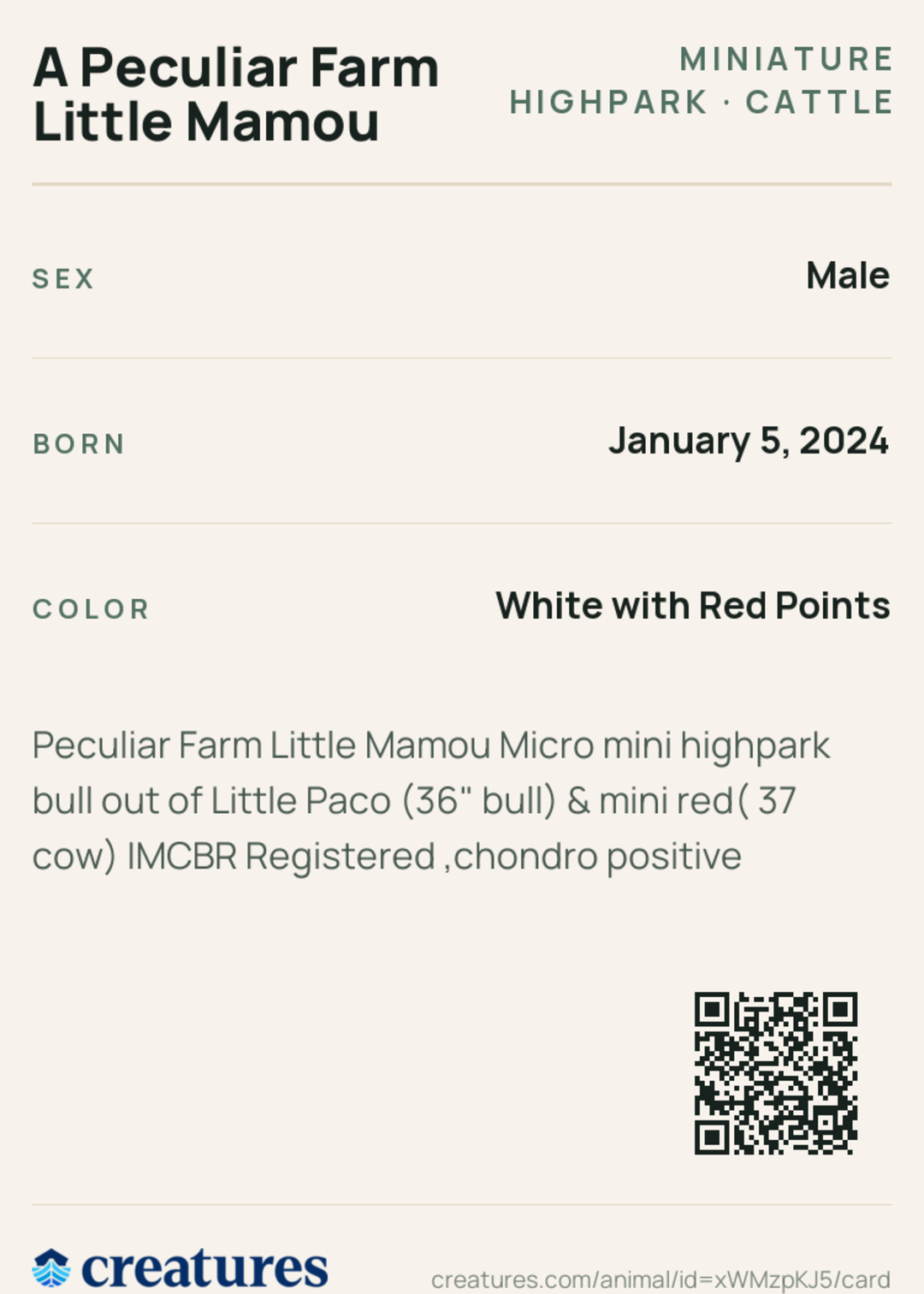 A Peculiar Farm Little Mamou Creature Card back