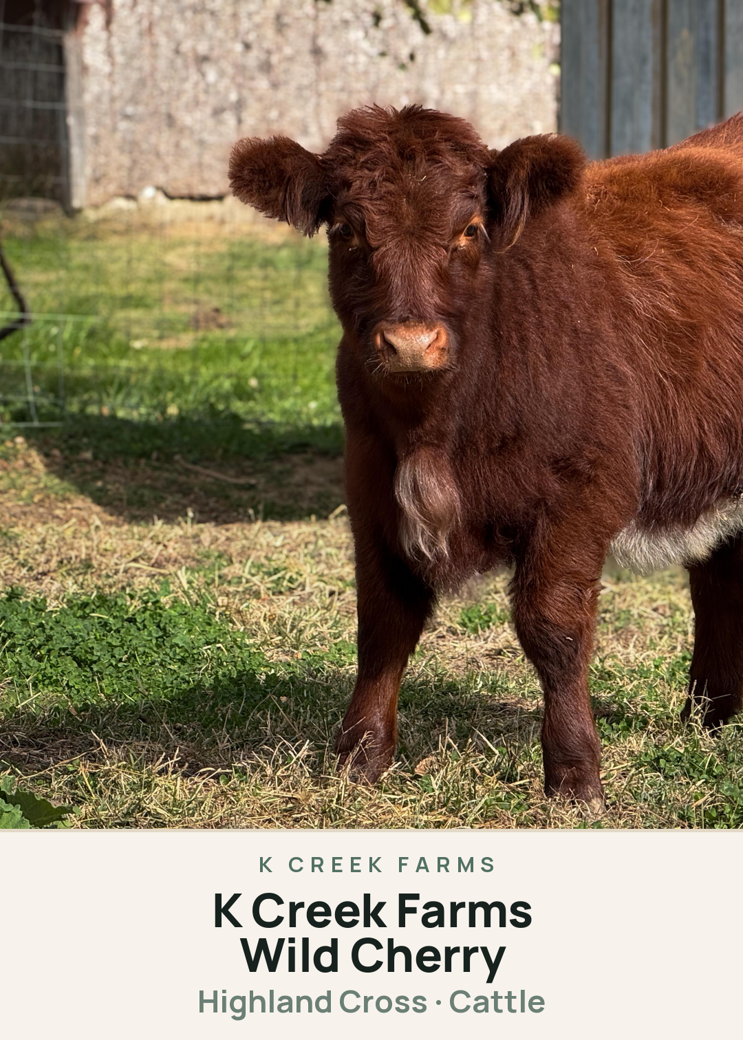 K Creek Farms Wild Cherry Creature Card