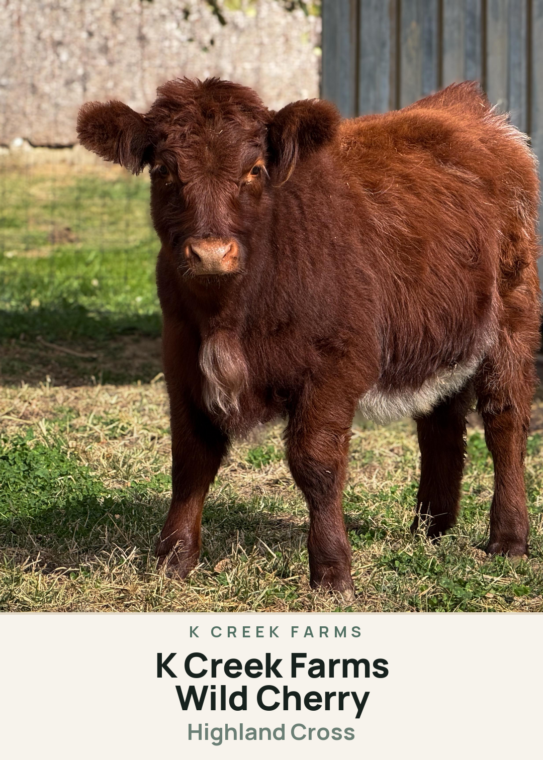 K Creek Farms Wild Cherry Creature Card