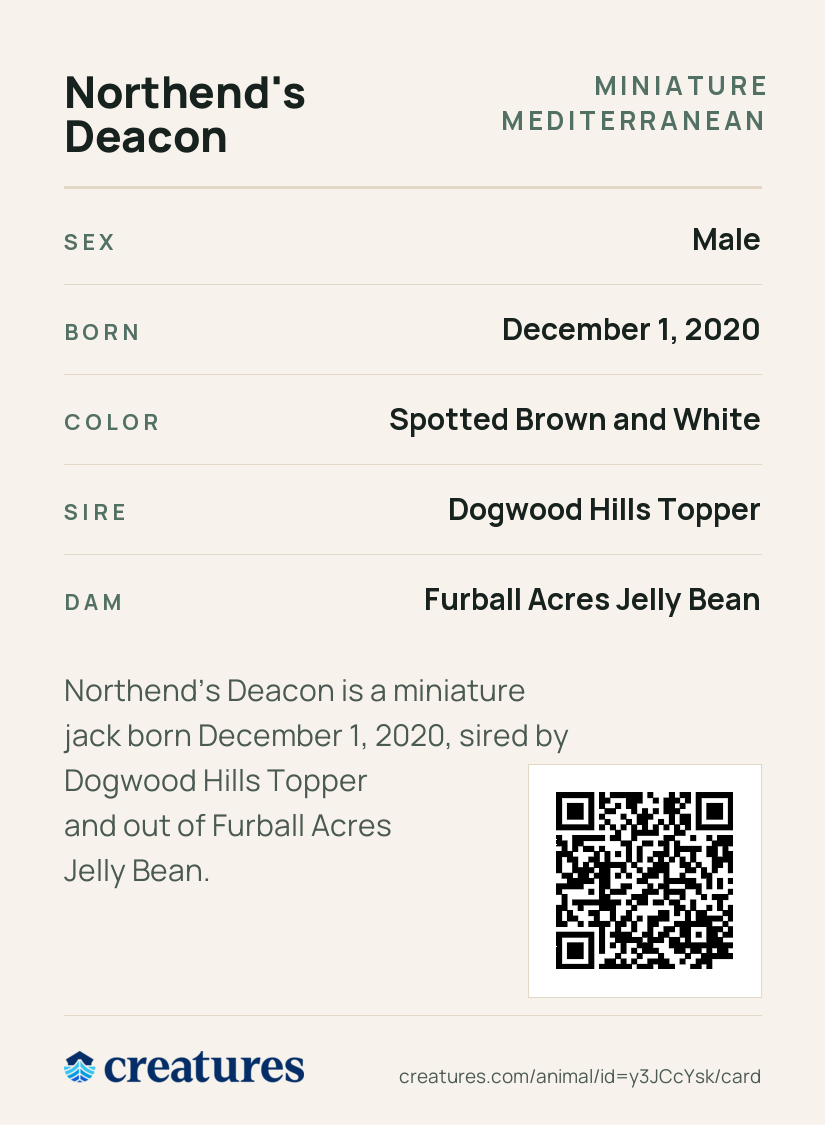 Northend's Deacon Creature Card back