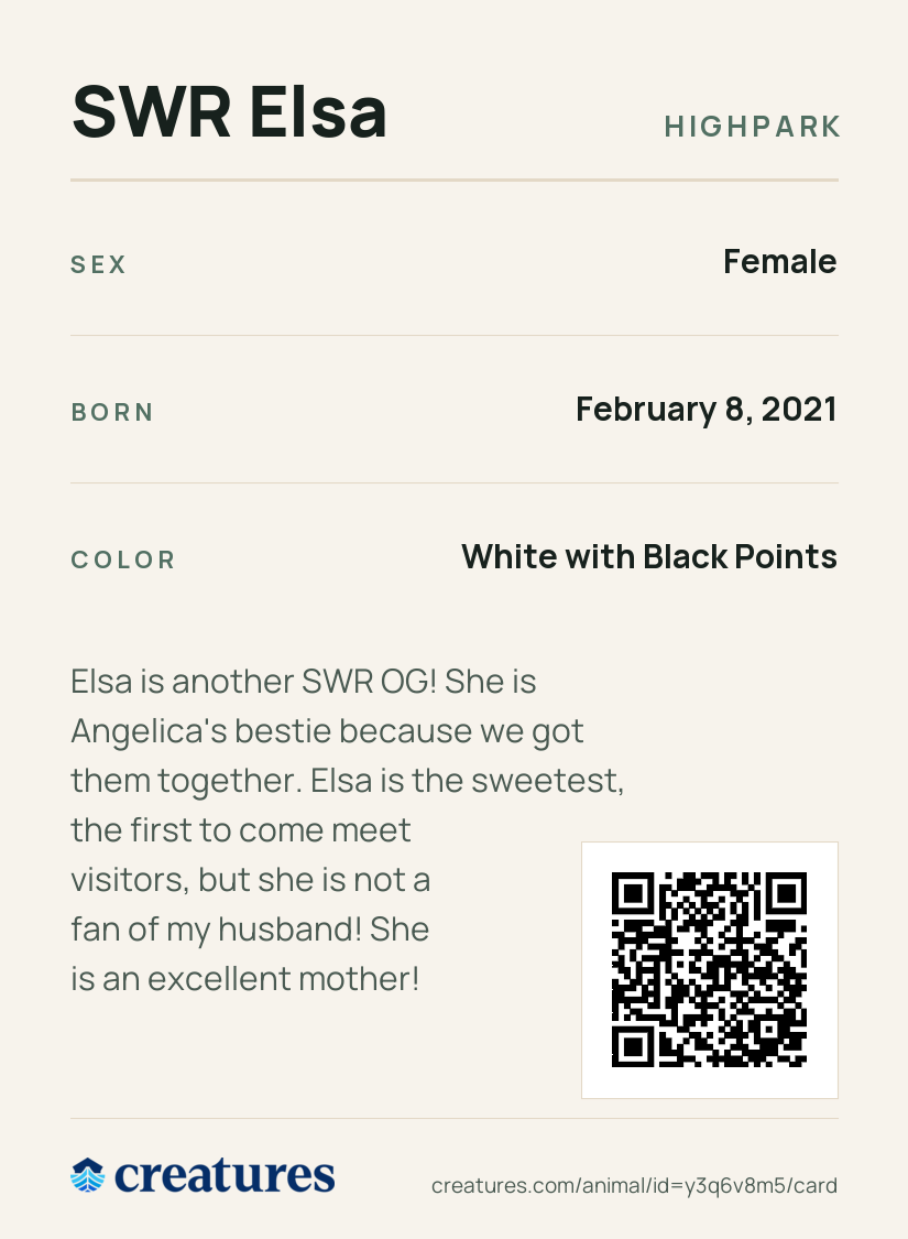 SWR Elsa Creature Card back