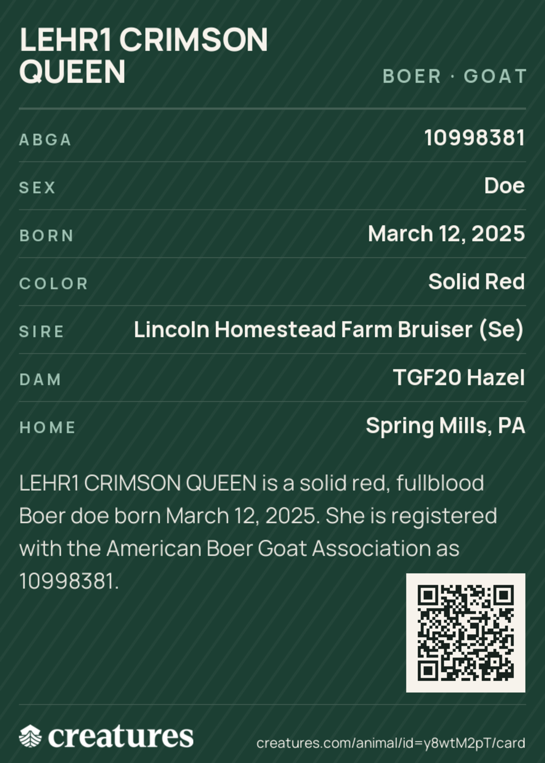 Lehr1 Crimson Queen Creature Card back