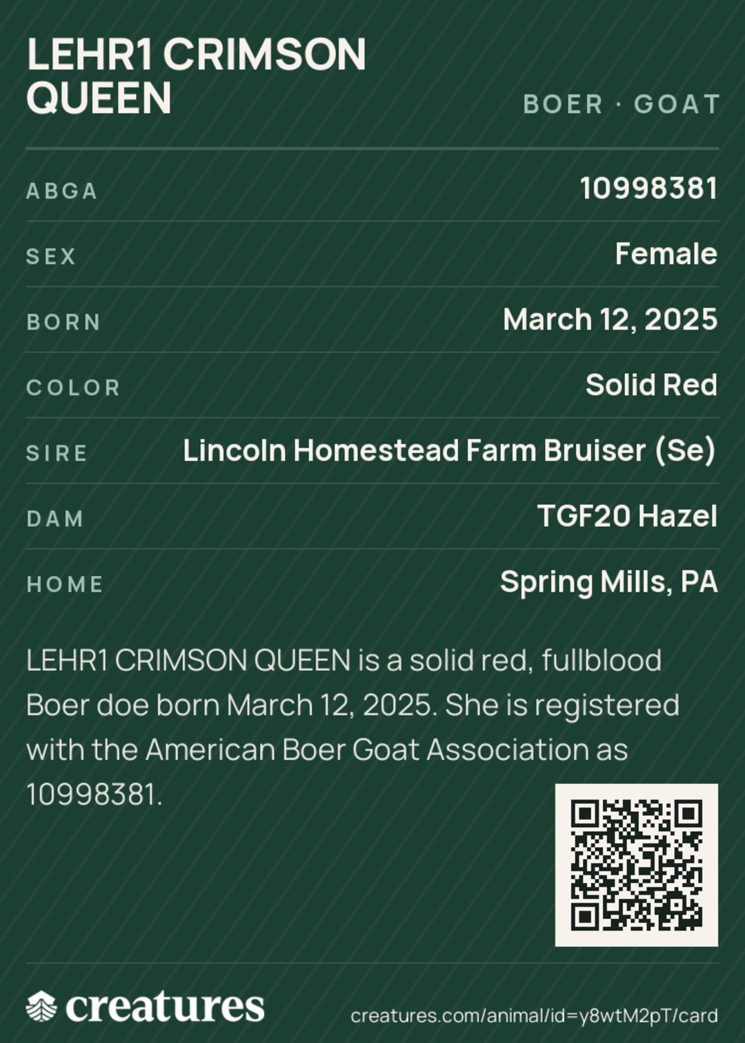 Lehr1 Crimson Queen Creature Card back