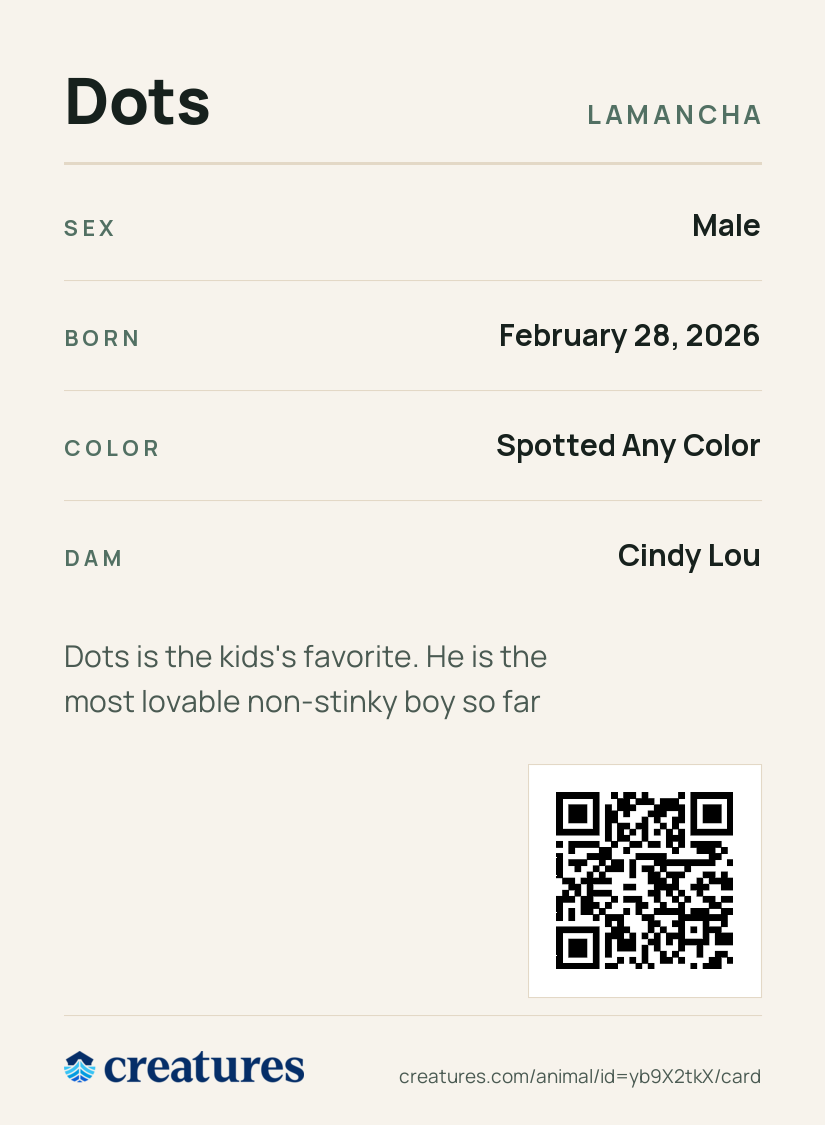 Dots Creature Card back
