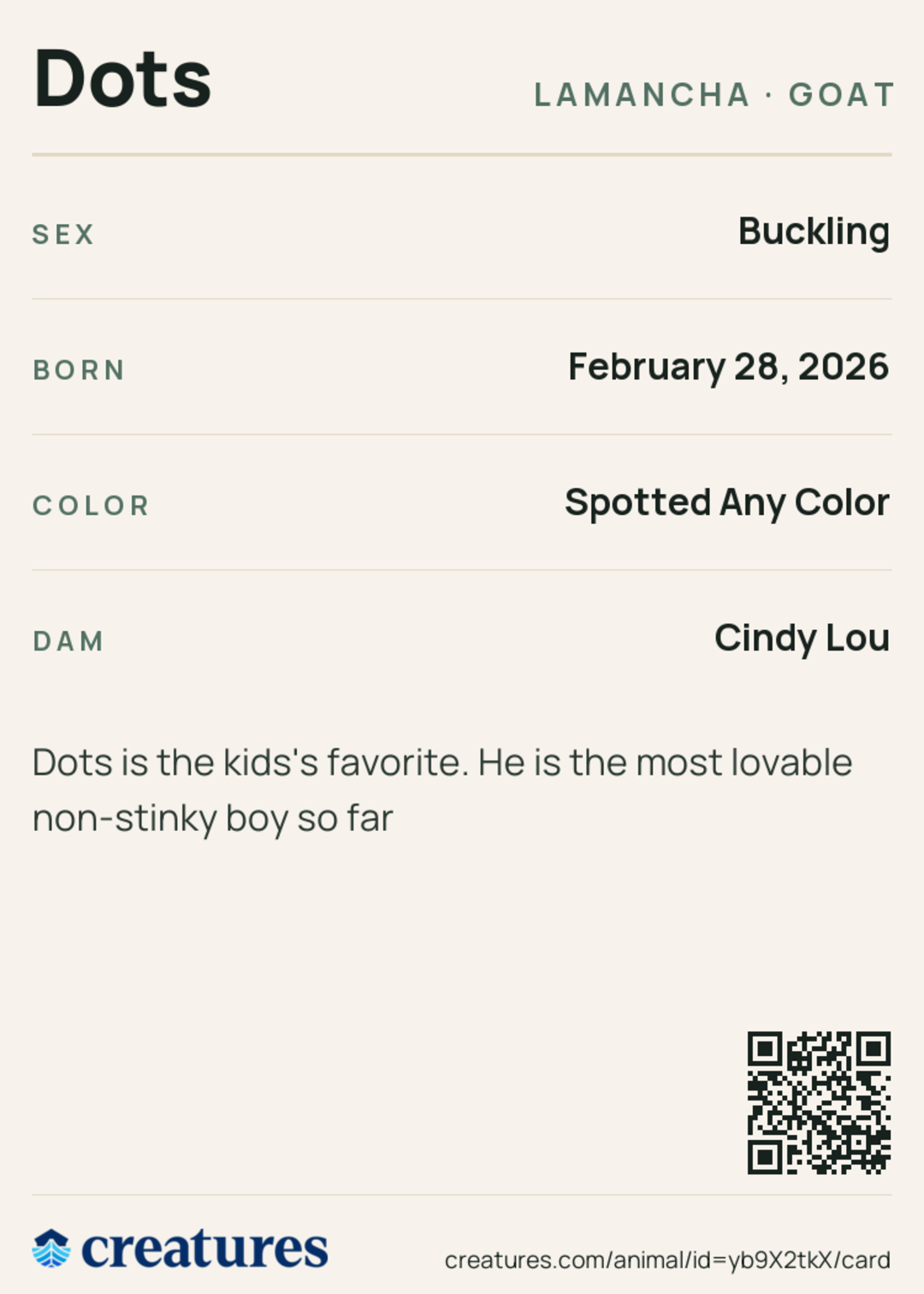 Dots Creature Card back