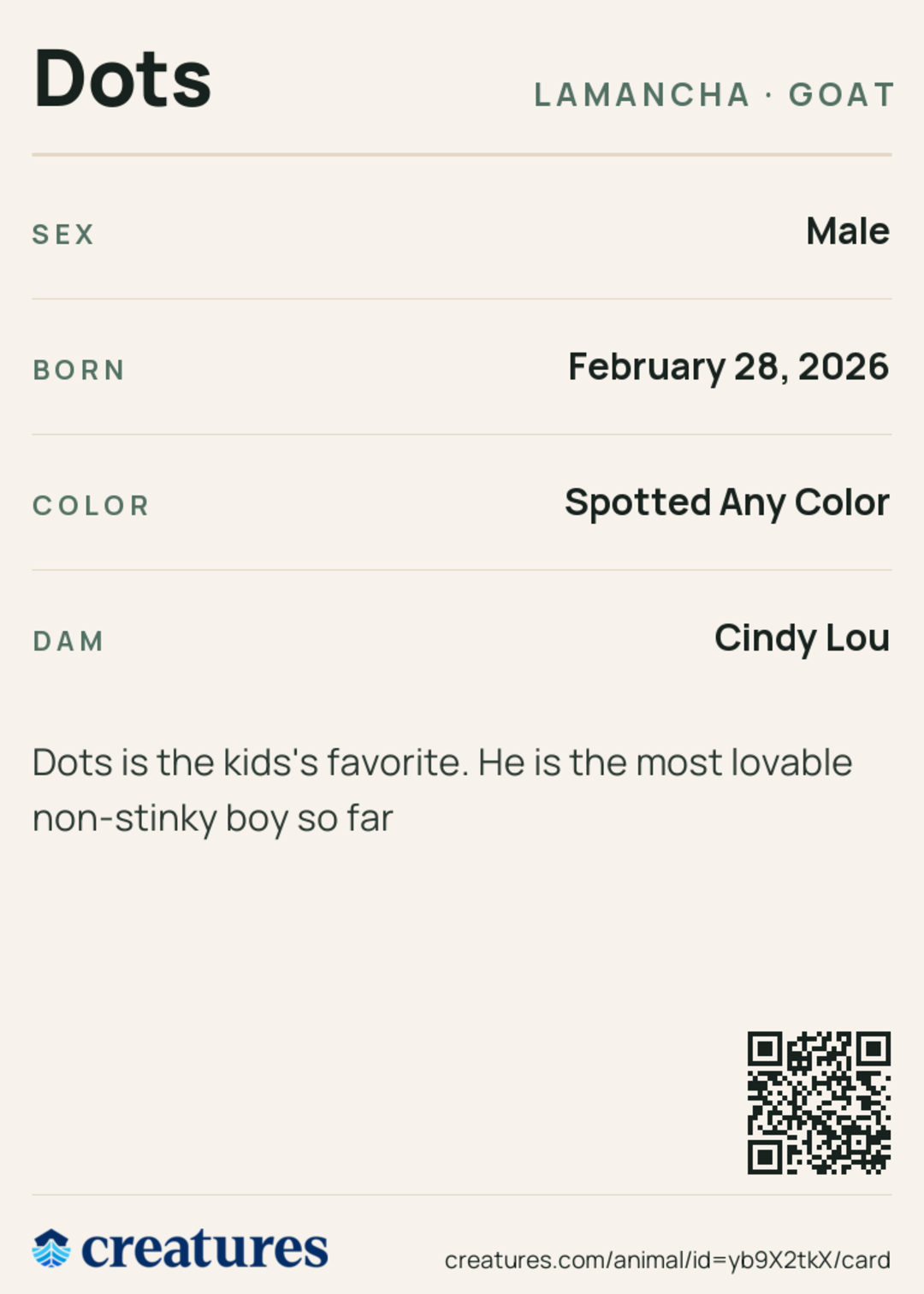 Dots Creature Card back