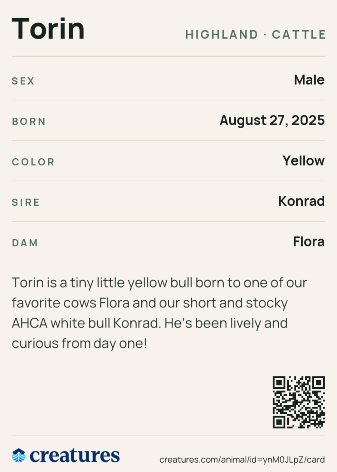 Torin Creature Card back