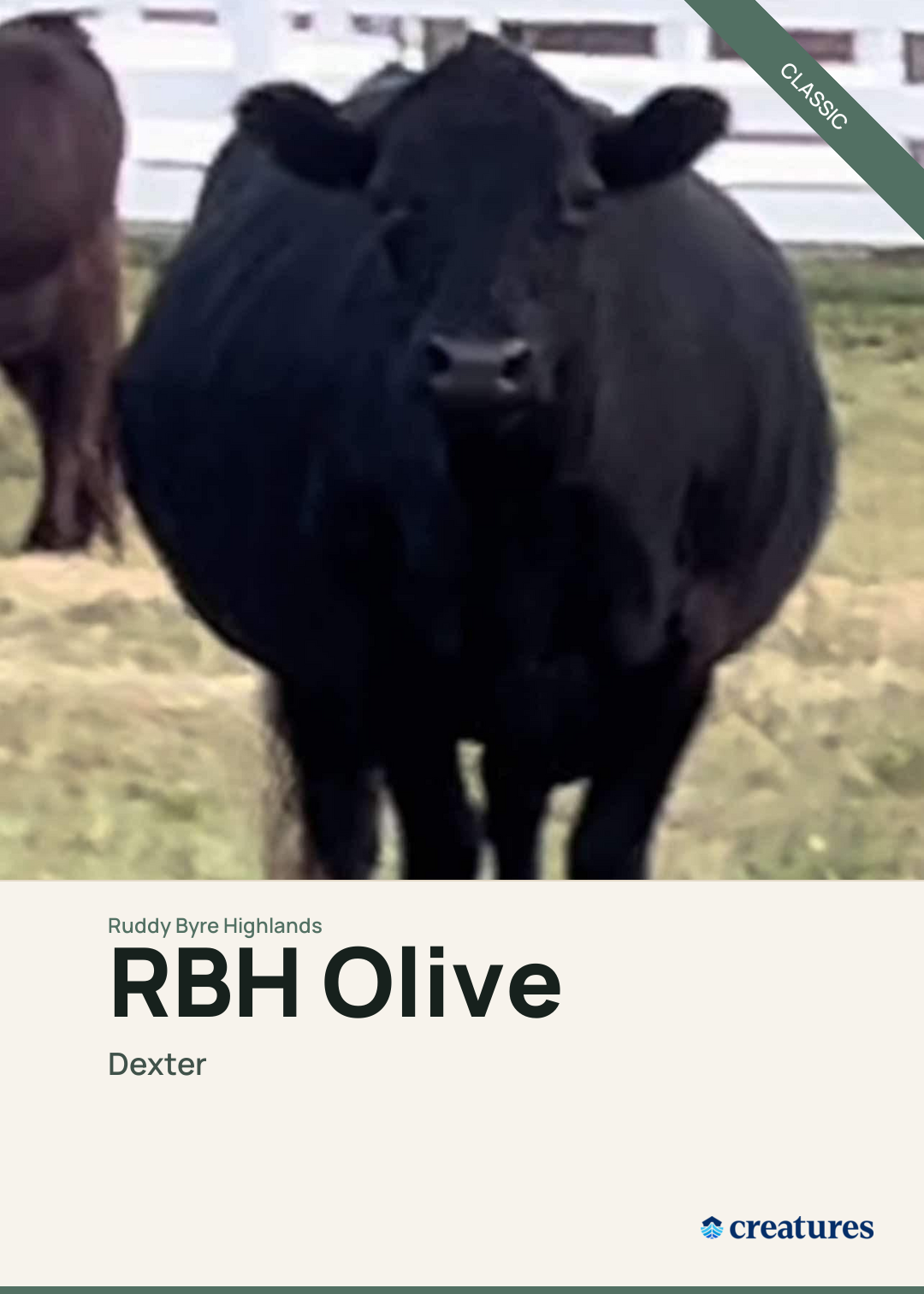 RBH Olive Creature Card