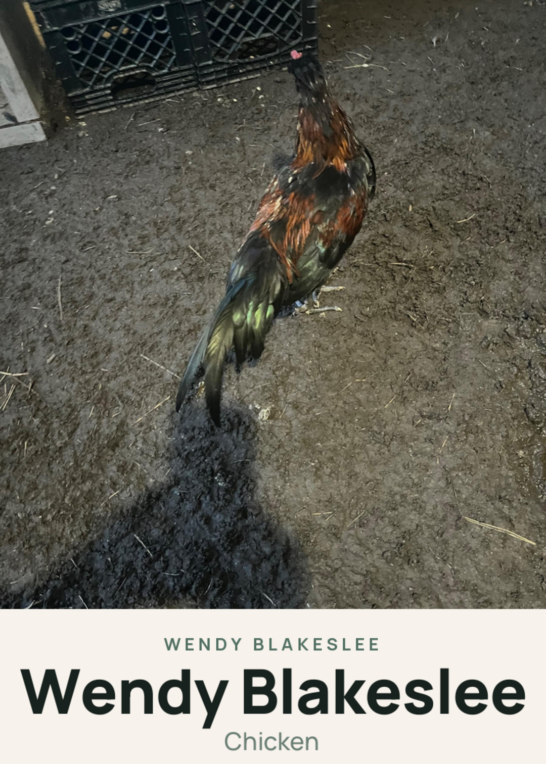 Wendy Blakeslee Creature Card