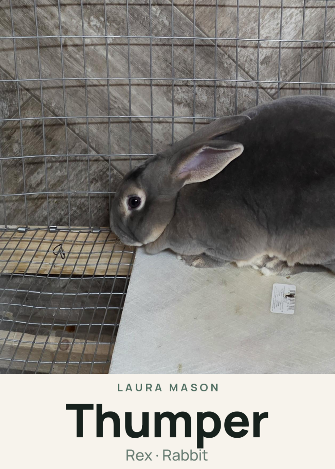 Thumper Creature Card