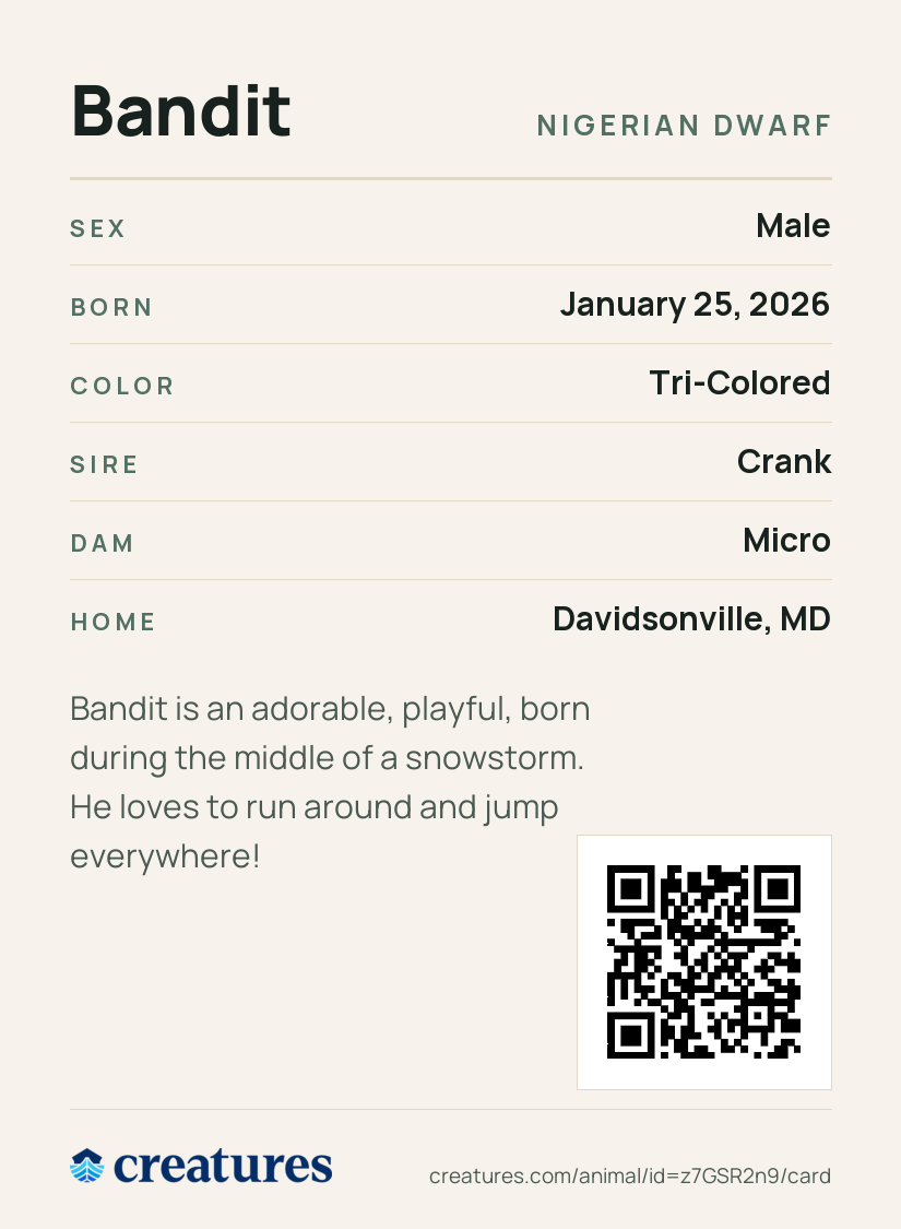 Bandit Creature Card back
