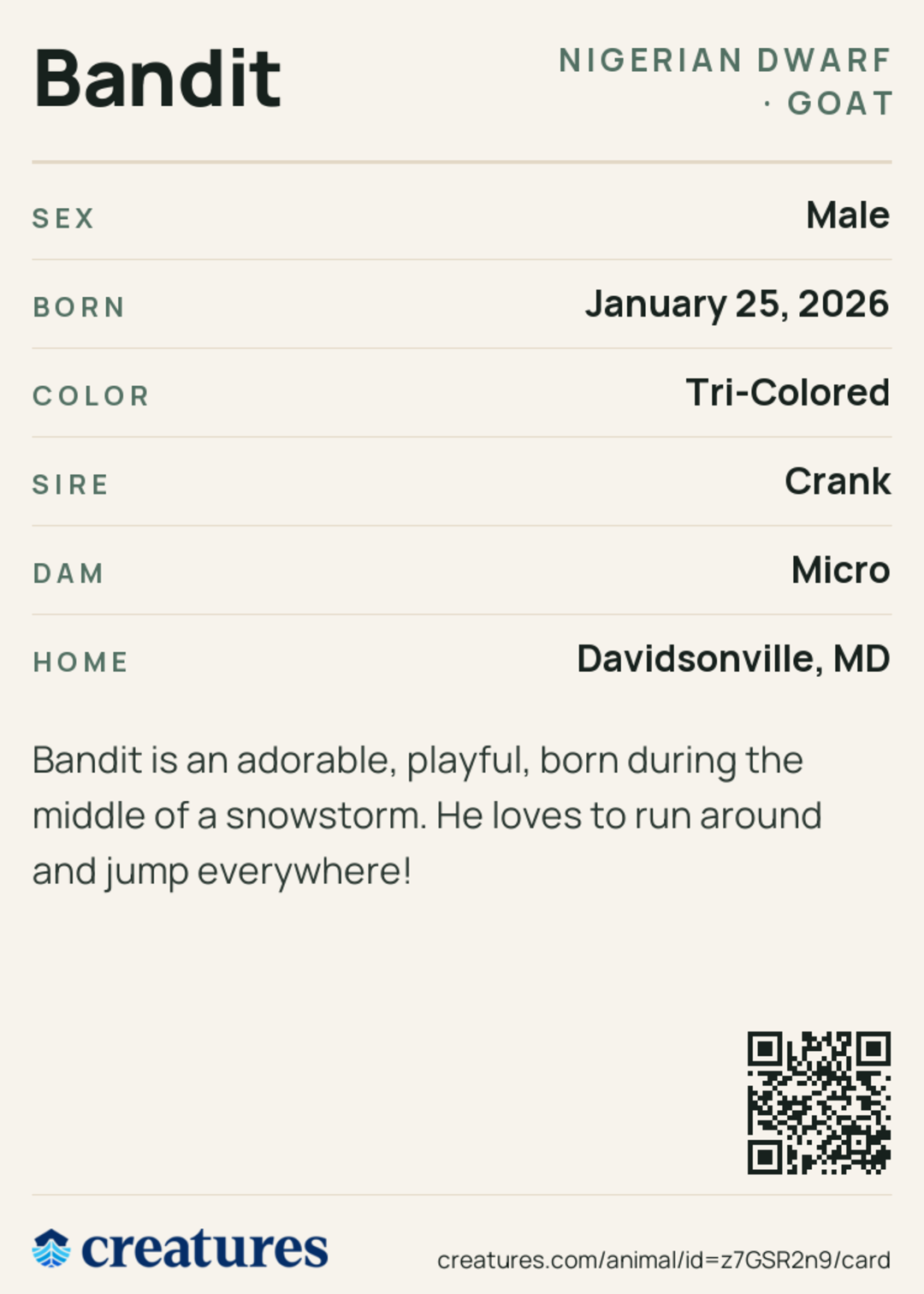 Bandit Creature Card back