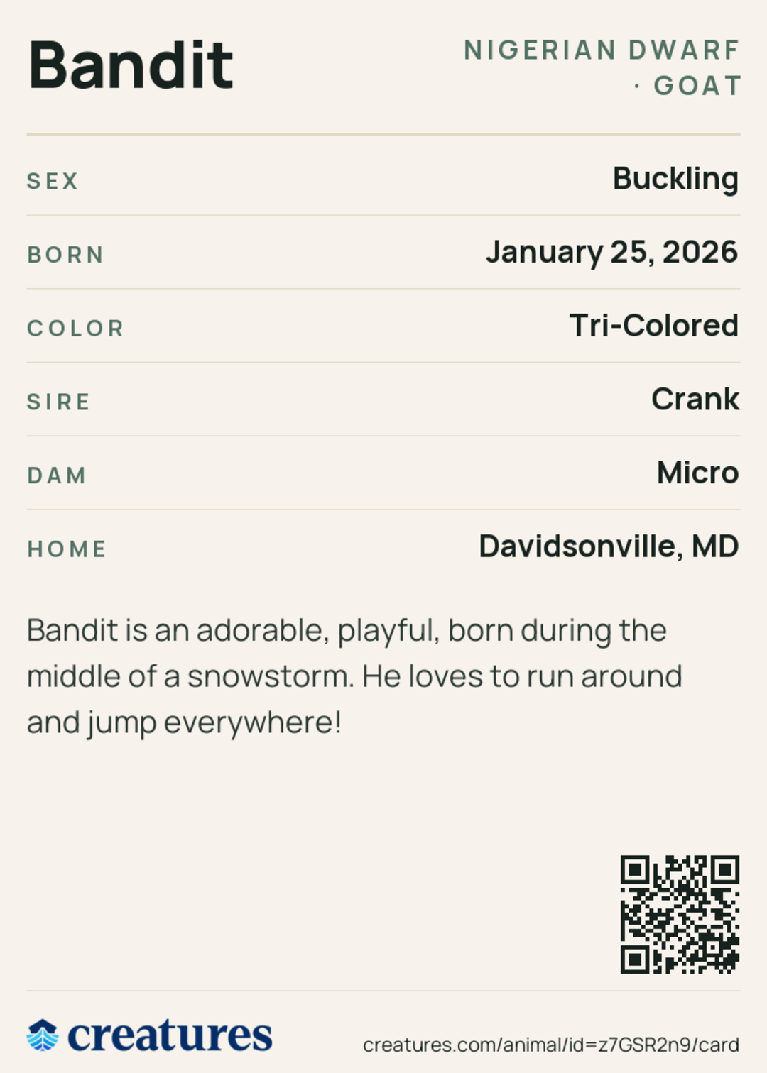 Bandit Creature Card back