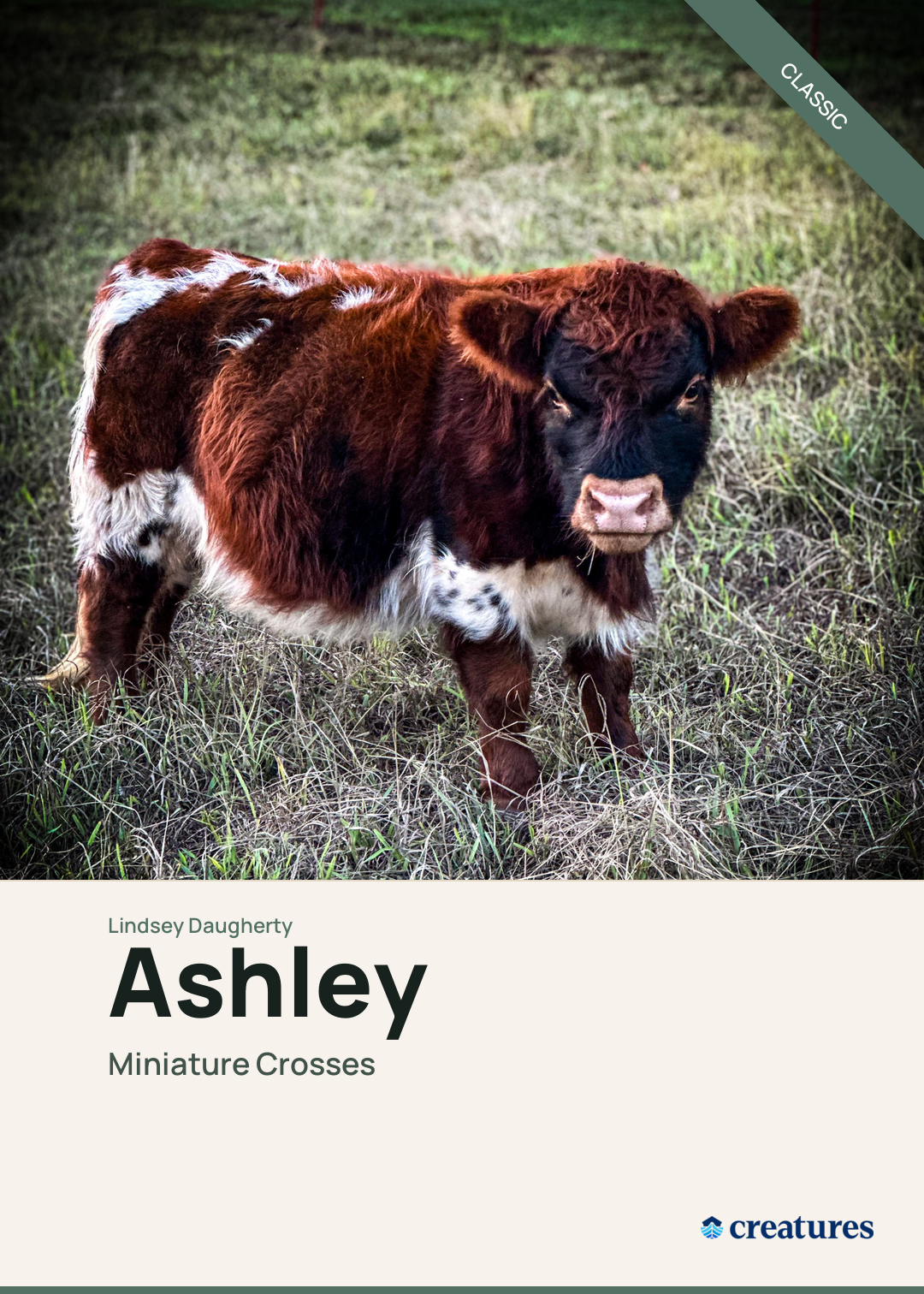 Ashley Creature Card