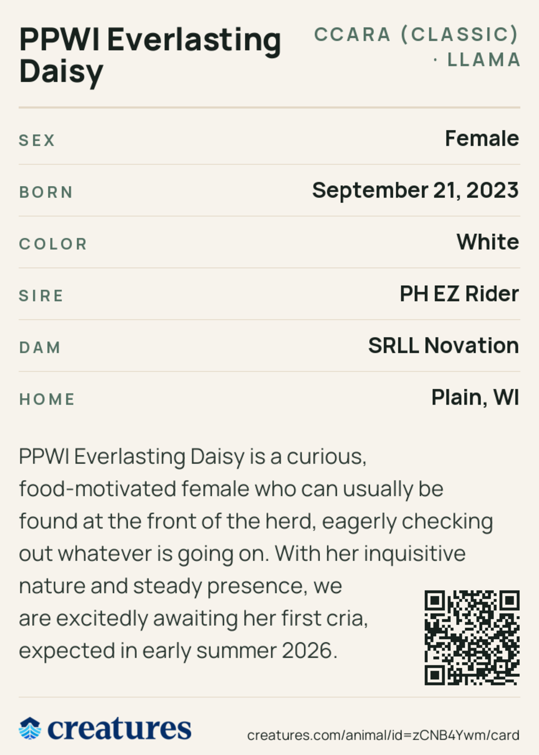PPWI Everlasting Daisy Creature Card back