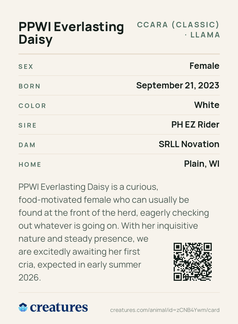 PPWI Everlasting Daisy Creature Card back
