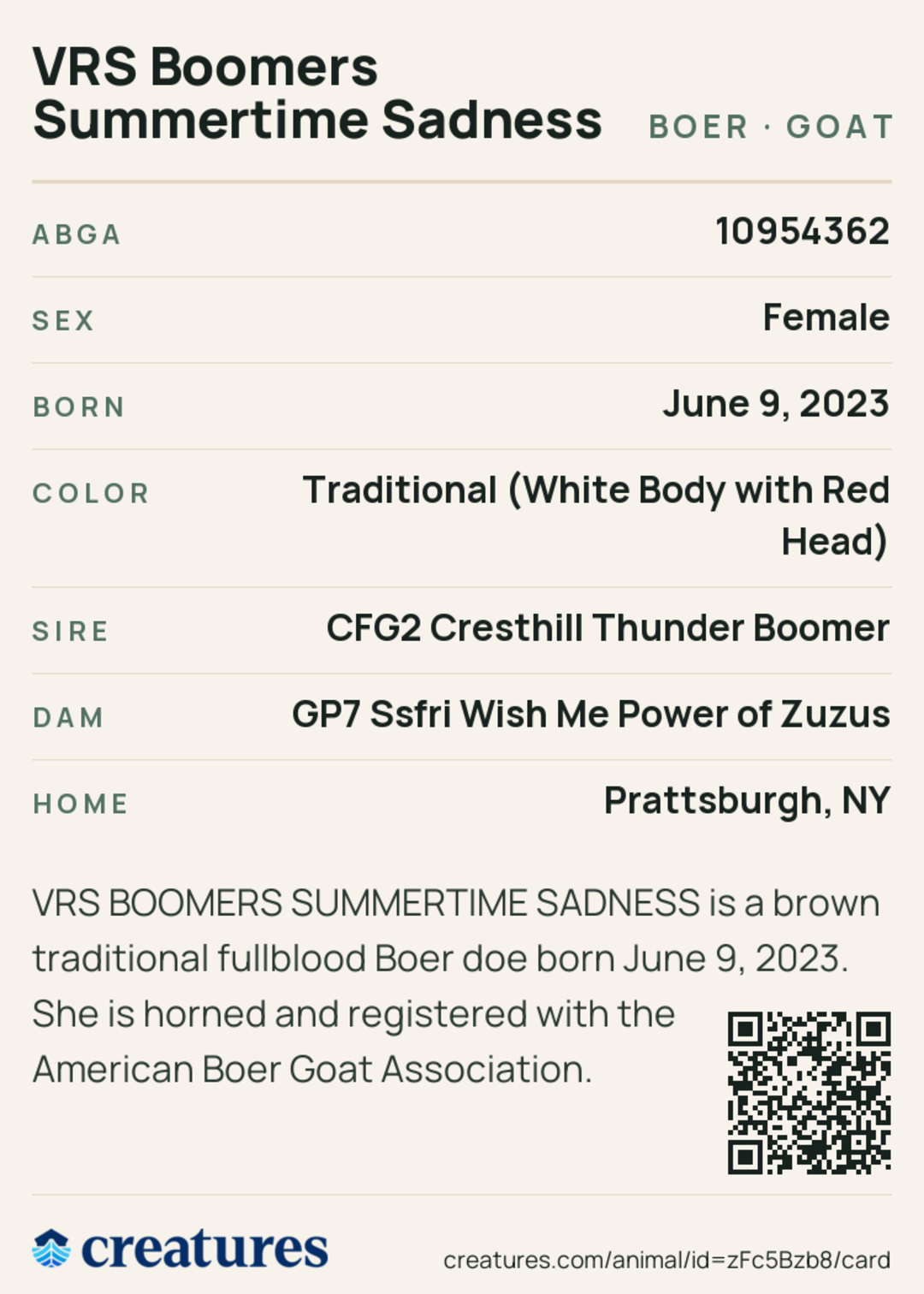 VRS Boomers Summertime Sadness Creature Card back