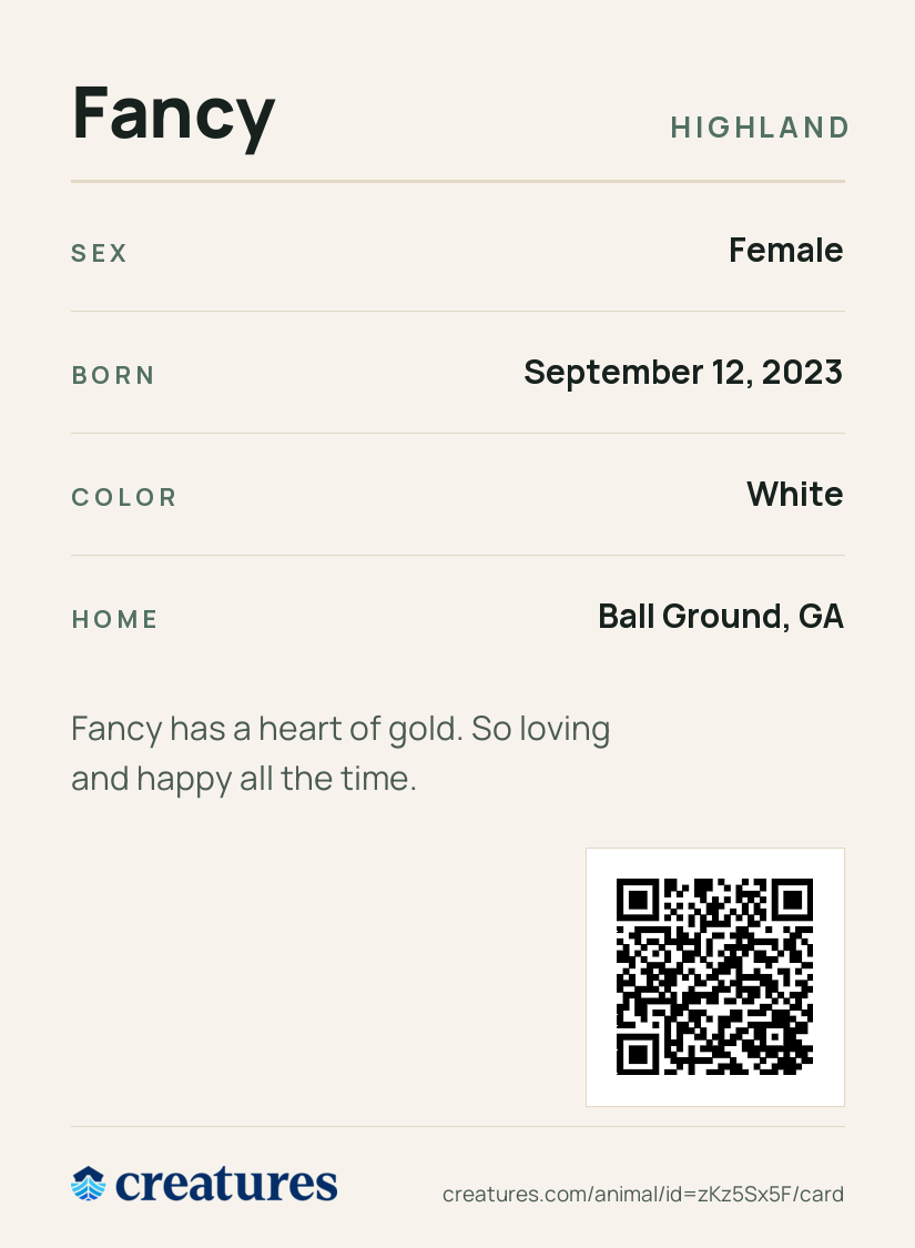Fancy Creature Card back