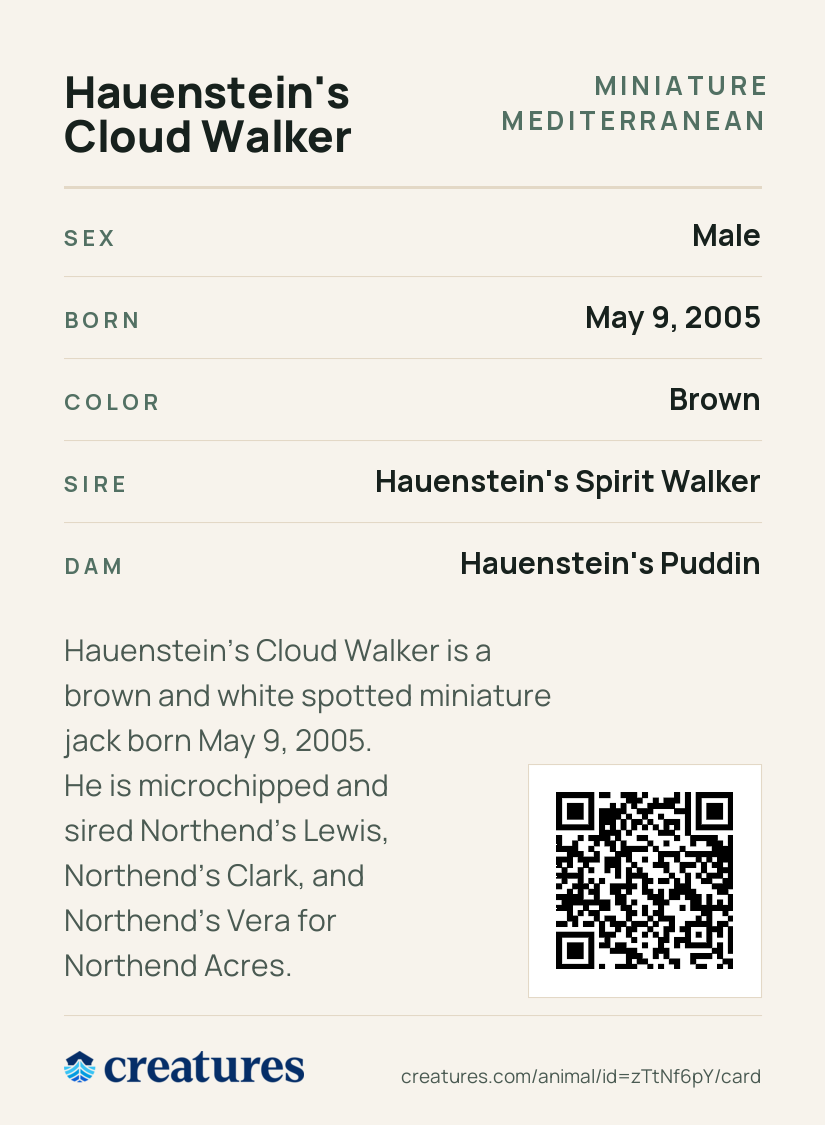 Hauenstein's Cloud Walker Creature Card back
