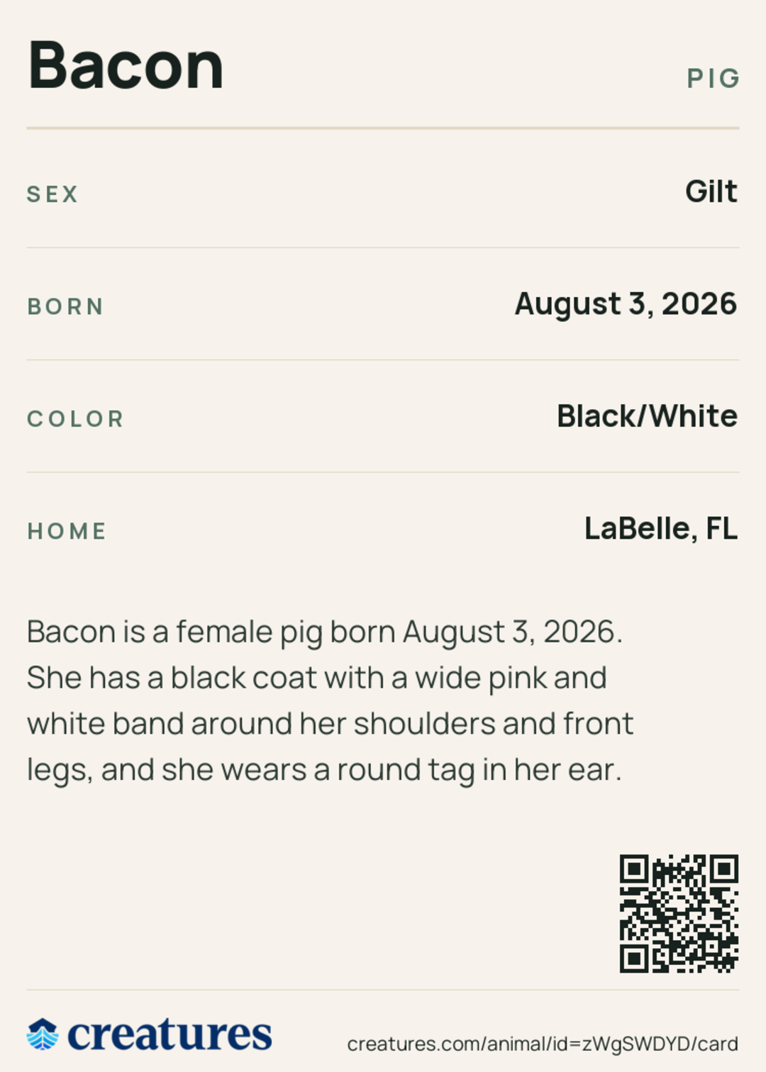Bacon Creature Card back