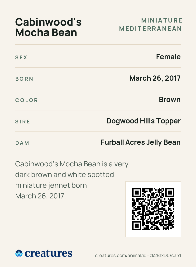 Cabinwood's Mocha Bean Creature Card back