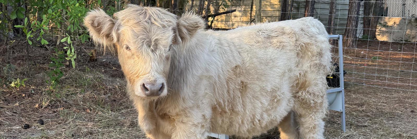 Spook profile cover image