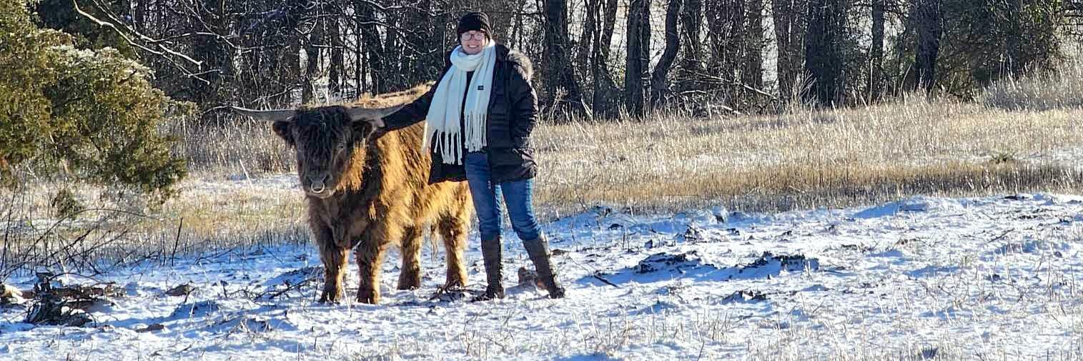 Heart Bar Highlands profile cover image