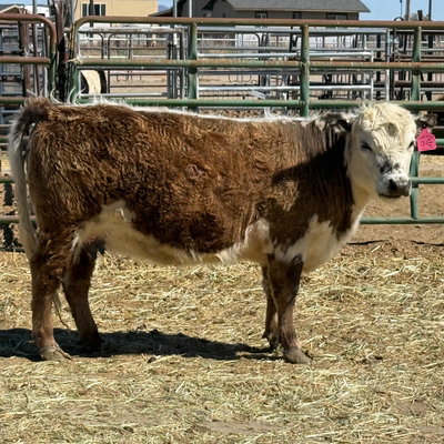 Fallon profile picture