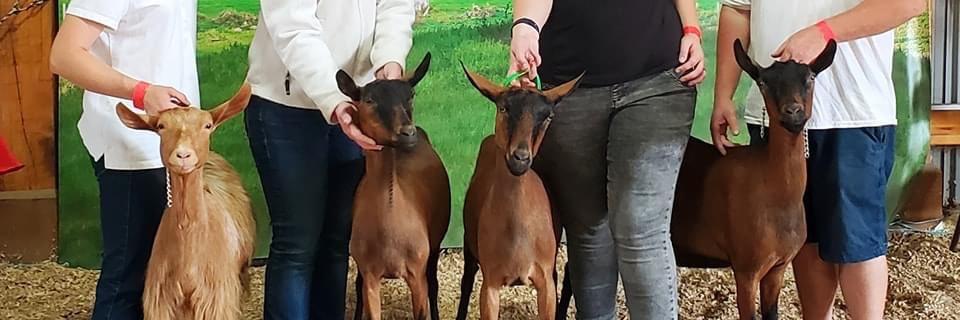 Half Barn Farm VL Pixy Stix profile cover image