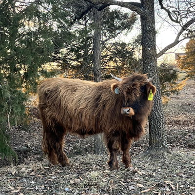 Delores O profile picture