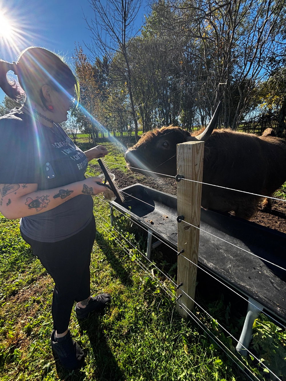 Highland Farm Tour, photo 10