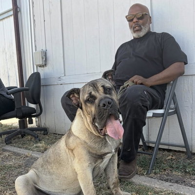 Premier Paws Transport LLC profile picture