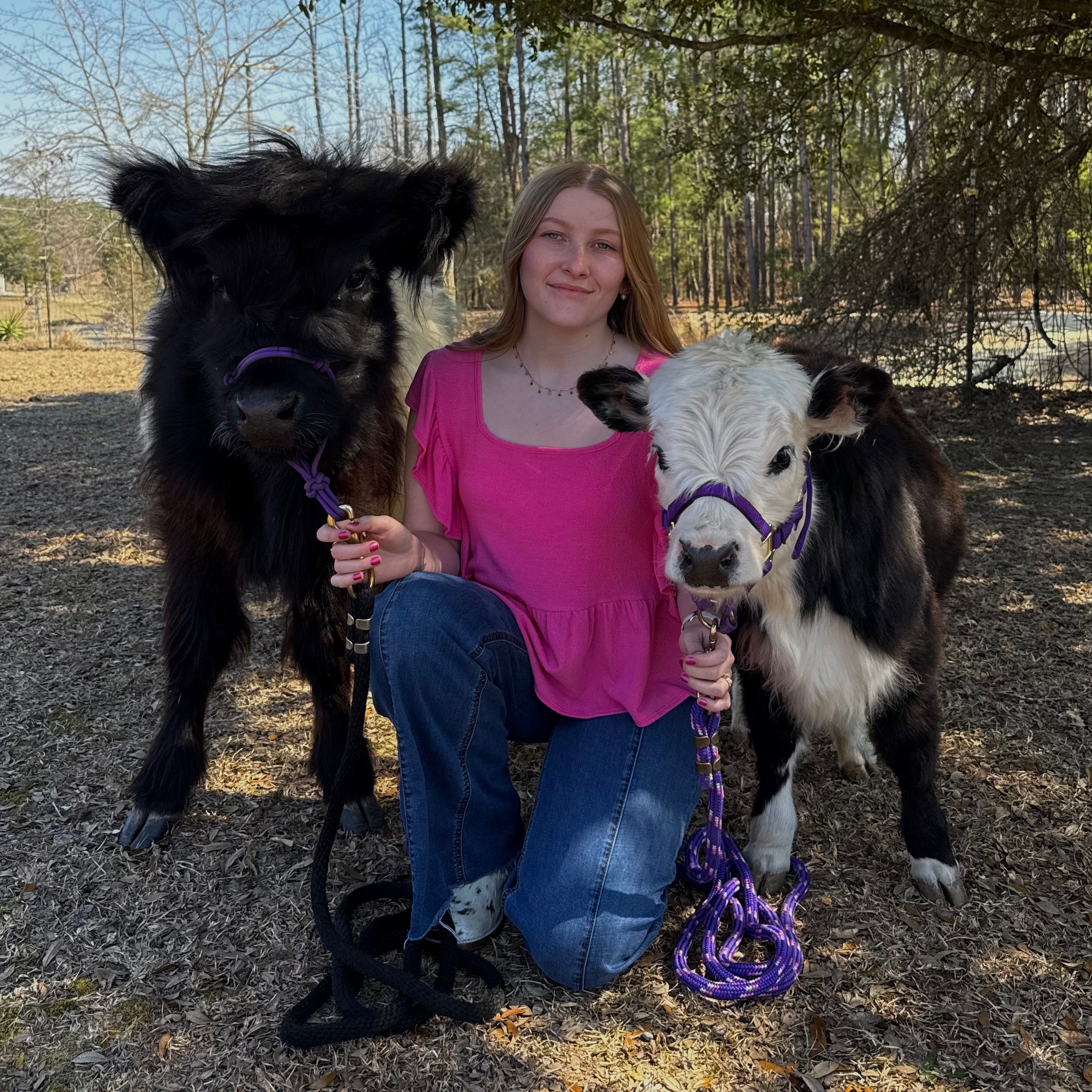 The Cozy Cattle Company profile picture