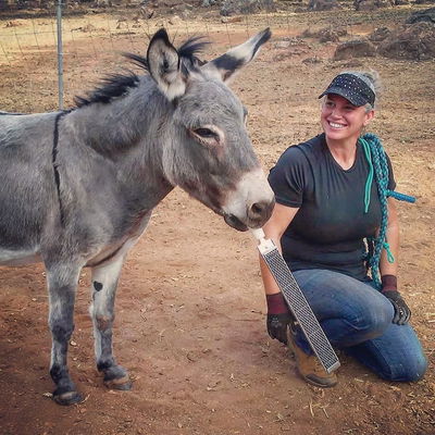 Donkey Hooves Done Right profile picture