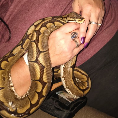Belladonna profile picture