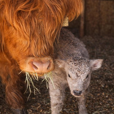 Tristan Haveron profile picture