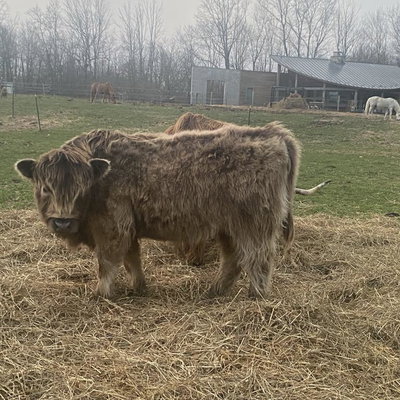 Ruth profile picture