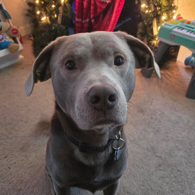 Asher profile picture