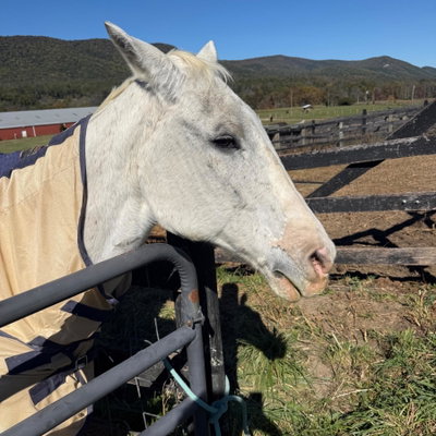 Casper profile picture