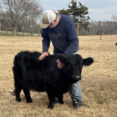 Maggie Moo profile picture