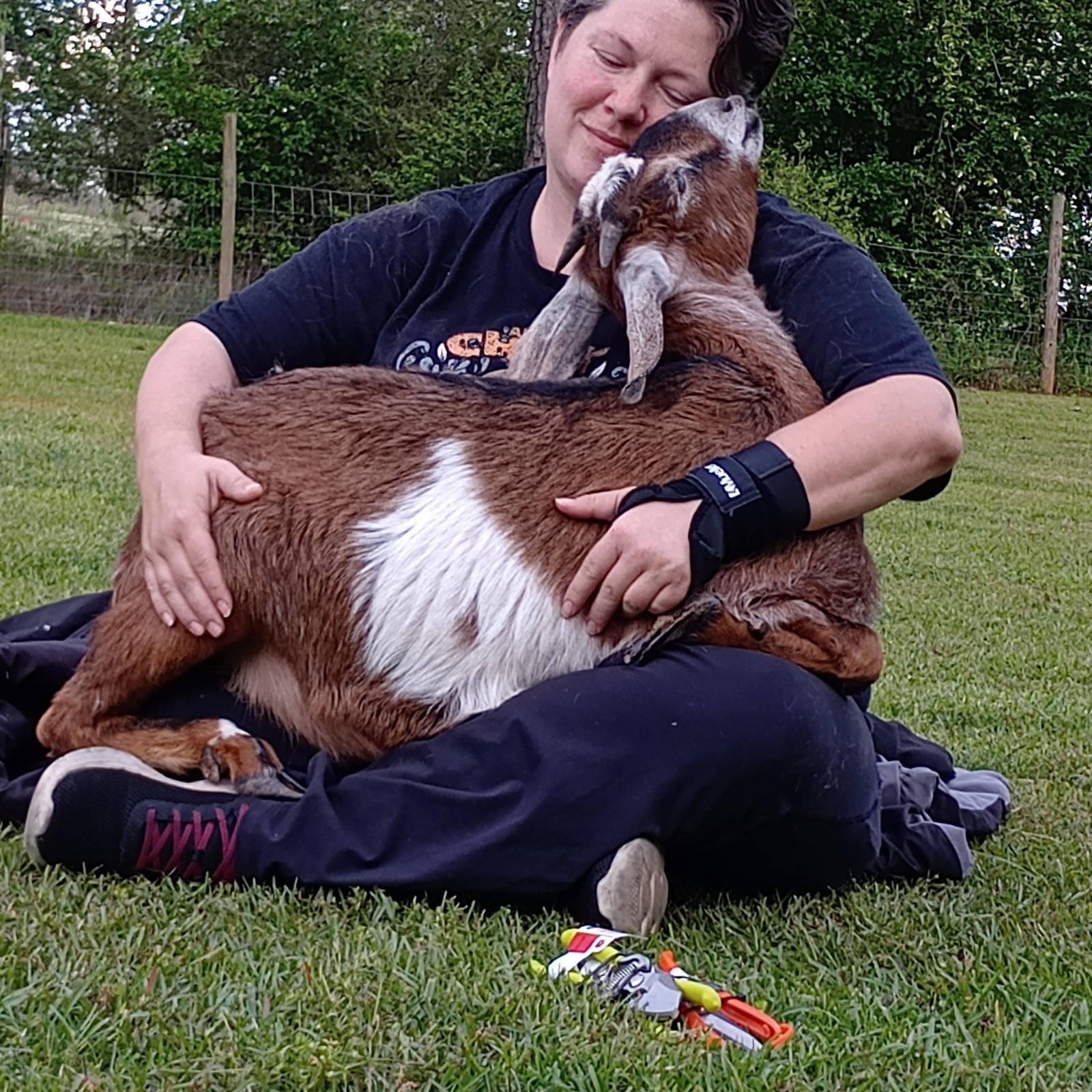 Hera