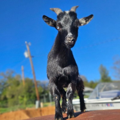 Felipe profile picture