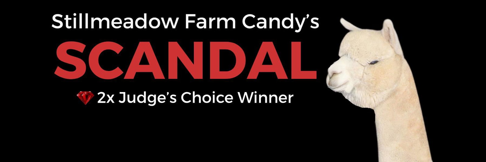 Stillmeadow Farm Candy's Scandal profile cover image