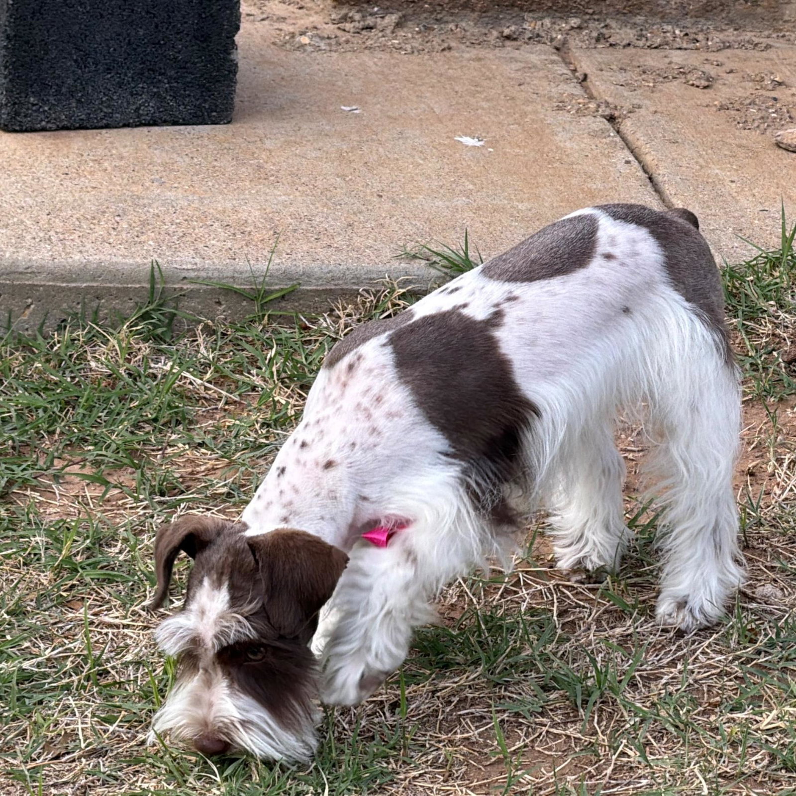 Missie