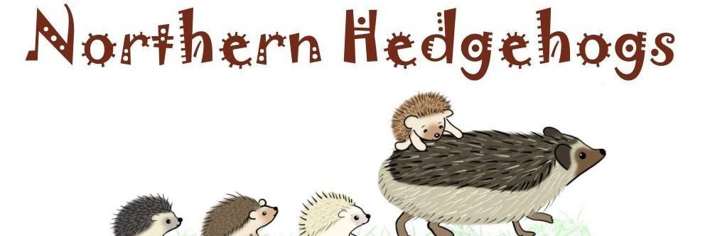 Northern Hedgehogs profile cover image