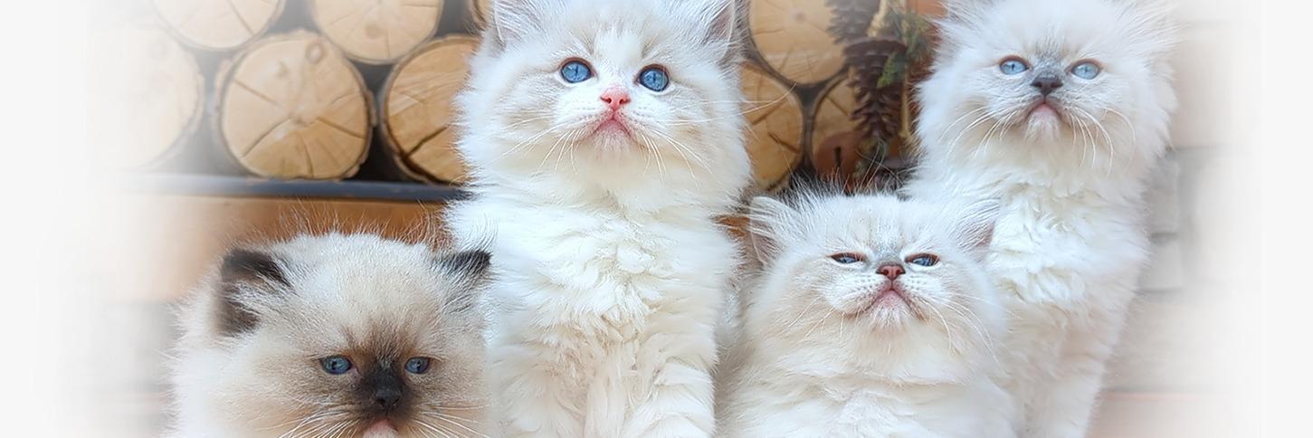 Untiloneday profile cover image