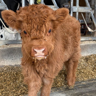 DUNN profile picture