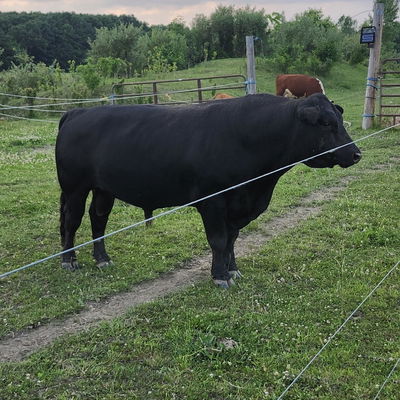 KMKB FRANK 796J profile picture