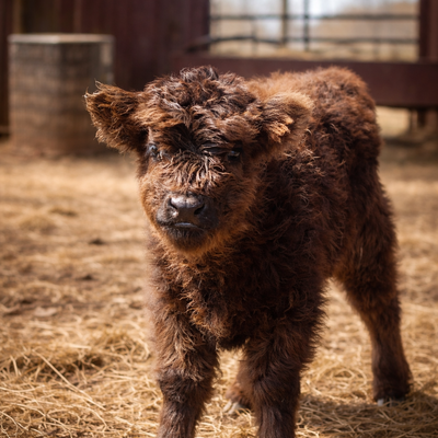 Jack profile picture