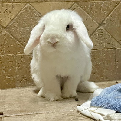 Martha profile picture